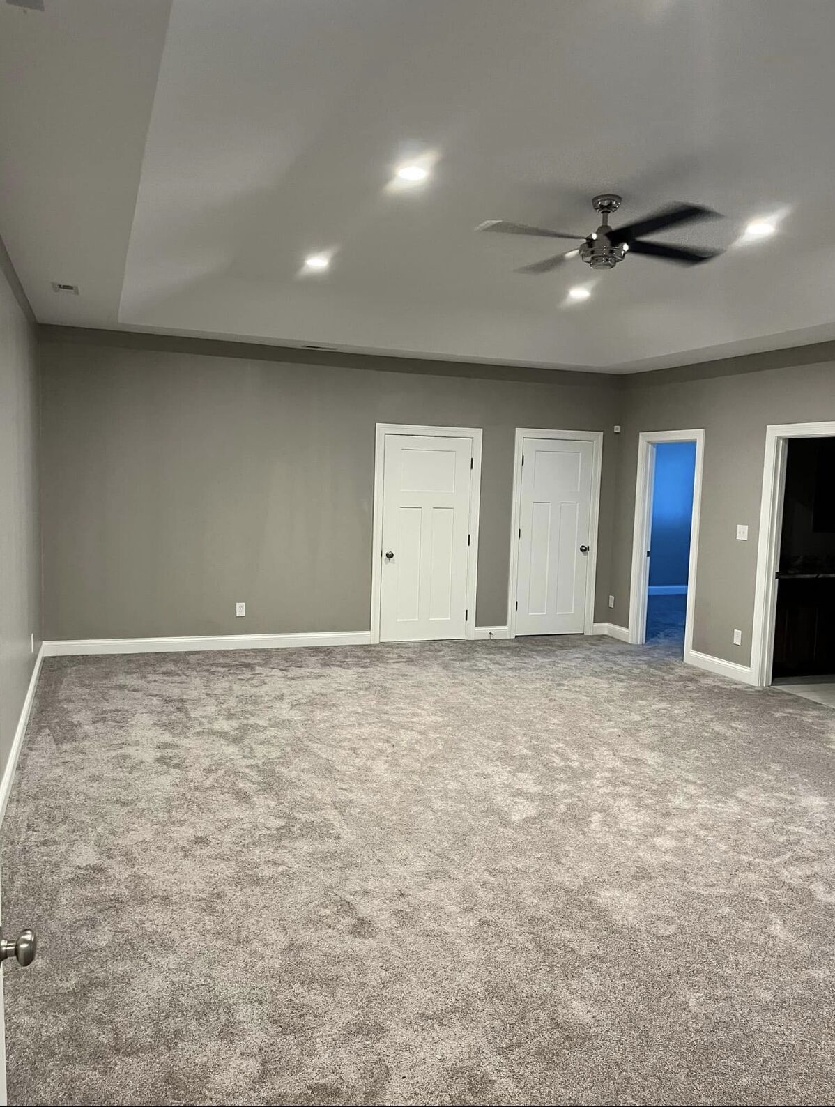 Large carpeted bonus room painted gray with white doors